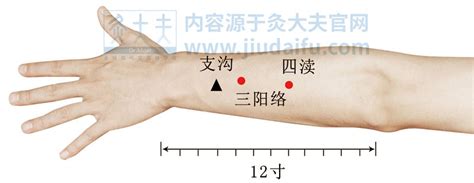 四瀆穴|四瀆穴